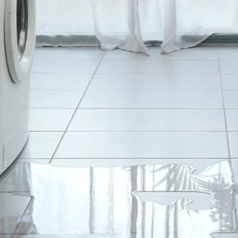 Appliance Leak Cleanup in Nicollet County, MN