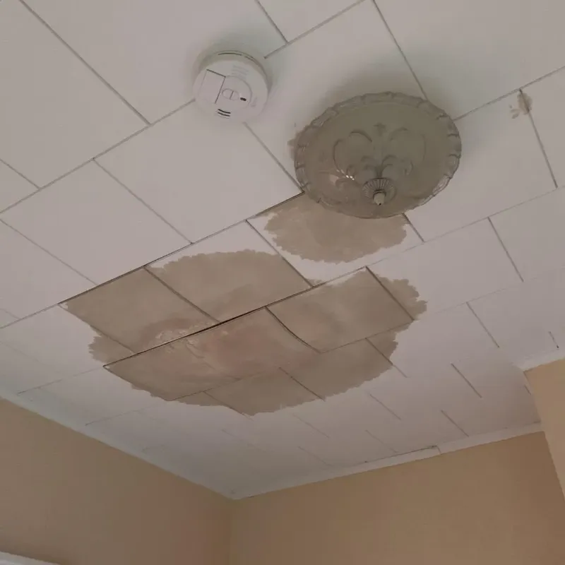 Ceiling Water Damage Repair in Nicollet County, MN