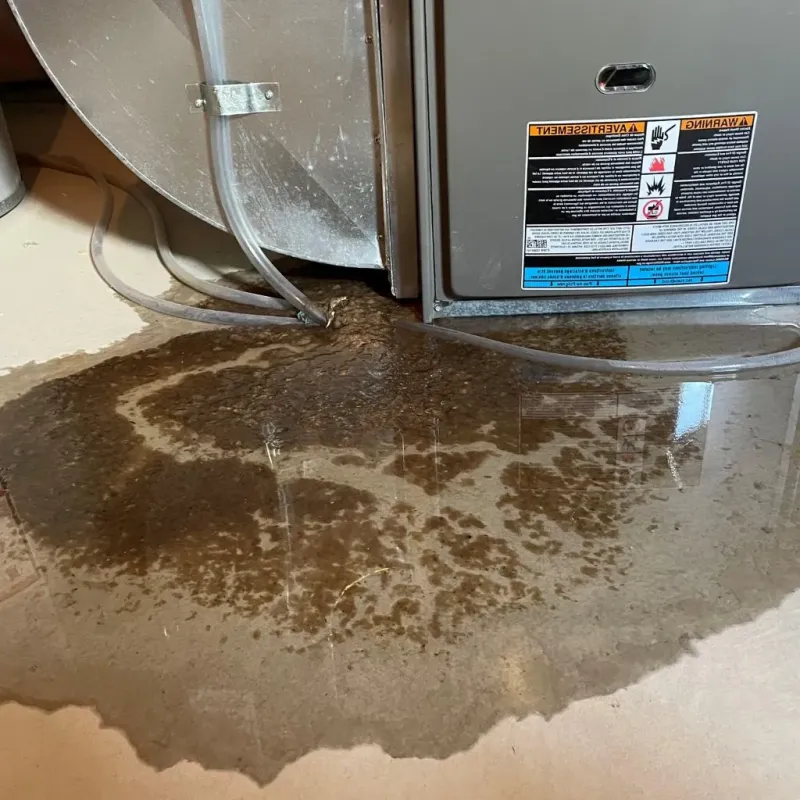 Pipe Burst and Leak Restoration in Nicollet County, MN