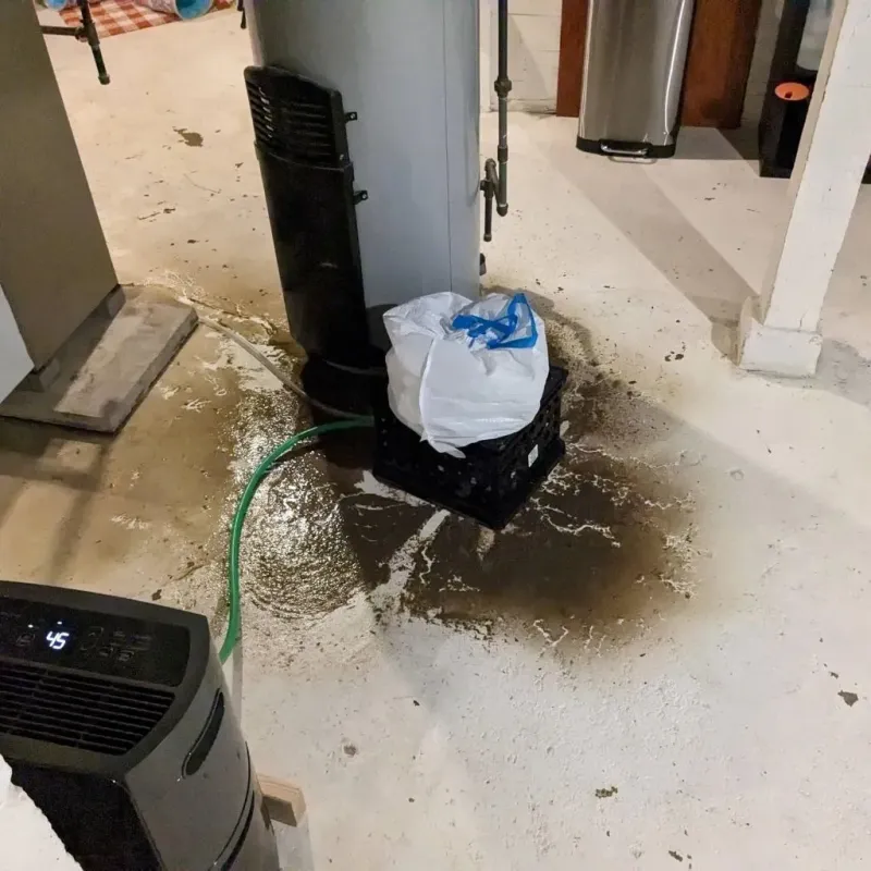 Sewage Backup Cleanup Service in Nicollet County, MN
